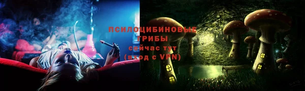 стафф Медвежьегорск