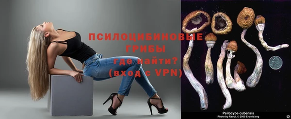 стафф Медвежьегорск
