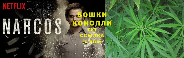 метадон Медногорск
