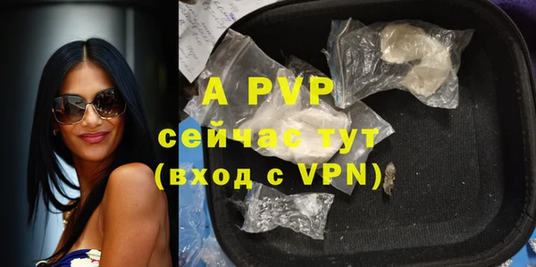 стафф Медвежьегорск