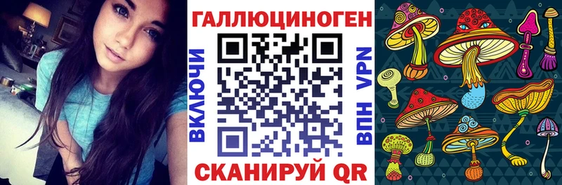 Псилоцибиновые грибы прущие грибы  Горячеводский 